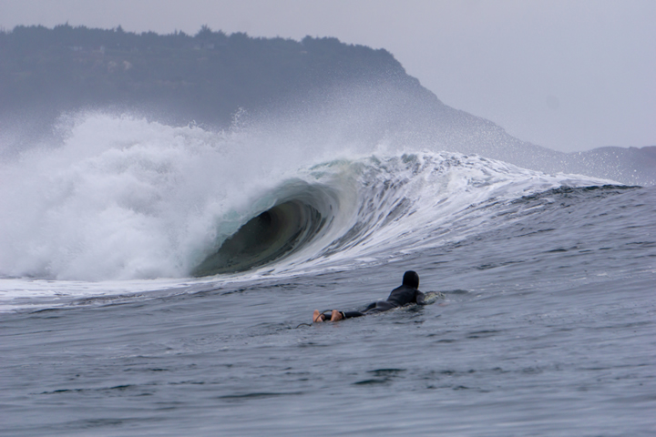 El Santuario de la Naturaleza “Bosque de Calabacillo de Navidad”, ubicado en la Región de O’Higgins, corresponde a una porción de agua y fondo de mar aledaña a la playa, caracterizada por una alta biodiversidad asociada al único bosque de macroalga parda Macrocystis pyrifera (calabacillo) Al ser alimento de herbívoros y de moluscos, el calabacillo es fundamental para la conservación de la diversidad biológica del bosque. La zona protegida incluye una famosa rompiente de la zona, un tubo izquierdo de alto nivel conocido como Roca Cuadrada. Foto por Agustín Sierra. 