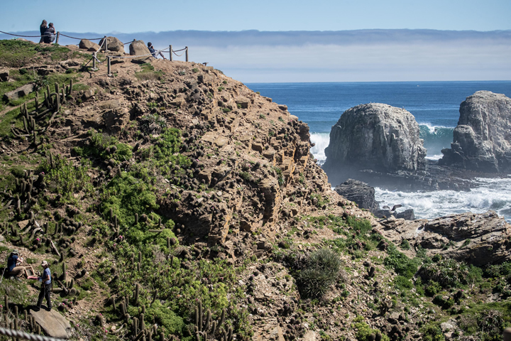 En 2013, había sido aprobada una serie de proyectos inmobiliarios en Punta de Lobos, Chile. Pobladores locales, organizaciones como la Fundación Punta de Lobos, Save the Waves y representantes emblemáticos del surf de Chile se organizaron en el Comité de Defensa de Punta de Lobos. Con ello, cambiaron el plan regulador municipal para el desarrollo de la zona, la compraron y la destinaron a perpetuidad para el libre acceso del público. En 2017, la organización Save the Waves la consagró como una World Surfing Reserve. Foto: Rodrigo Farías.