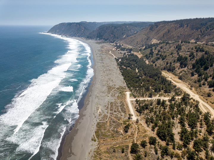 Para acceder a Puertecillo, una de las olas de más alta calidad en Chile, hay que entrar por un condominio privado. El proyecto inmobiliario no solo ha amenazado el acceso a la rompiente, sino que ha destruido parte importante de la biodiversidad marino-costera local, con lo que ha afectado a las dunas de arena, que generan procesos de sedimentación de los que depende el funcionamiento de la rompiente. Foto: Surf Beats Radio.