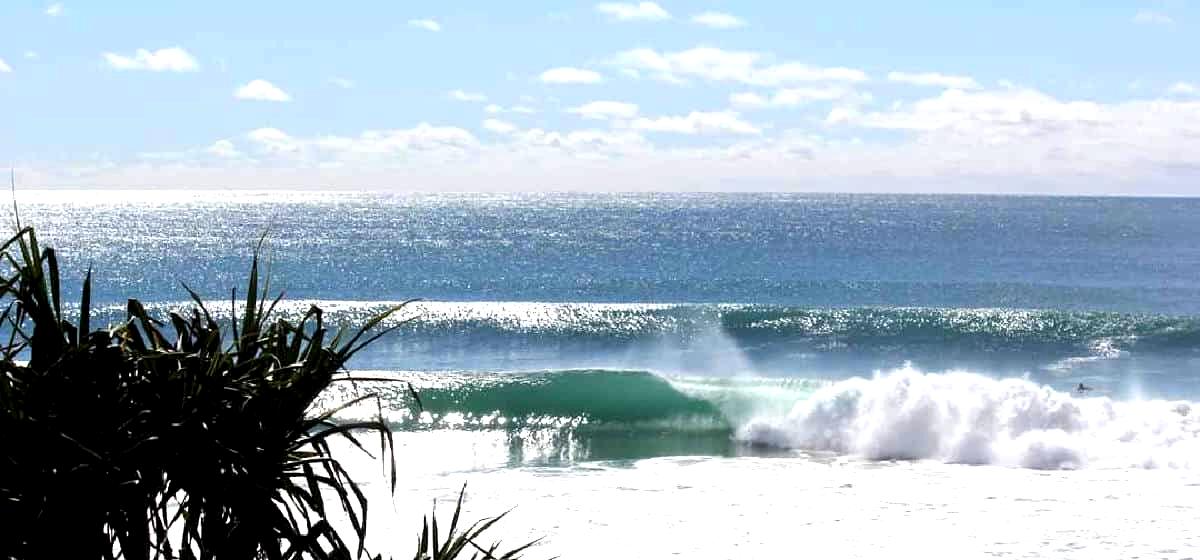 Burleigh Heads National Park tiene rompientes en su interior. Foto: Andrew McKinnon.
