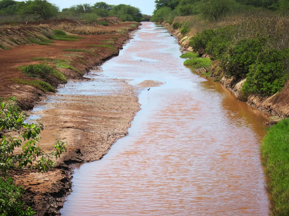 En los últimos años, la isla de Kaua'i ha combatido la descarga de contaminantes agrícolas en el océano utilizando, como elementos clave, la protección de las rompientes afectadas y sus zonas circundantes. Ya en 2016, Earthjustice (en nombre de la Fundación Surfrider, Na Kia'i Kai y la Red de Acción contra los Plaguicidas) demandó a la Corporación de Desarrollo Agroindustrial de Hawai por violar la Ley de Agua Limpia, en un esfuerzo por proteger las aguas del lado oeste de Kaua'i. La Corporación operaba un sistema de zanjas de drenaje de 40 millas, que descargaba millones de galones de agua contaminada en el océano, con lo que afectaba la salud de las personas y ensuciaba el agua donde la gente pescaba, nadaba, surfeaba y navegaba. En 2019, los demandantes ganaron el juicio, y se exigió que la corporación implementara un programa de control de la calidad del agua y mejores prácticas de gestión para reducir la contaminación. Foto: Earthjustice. 
