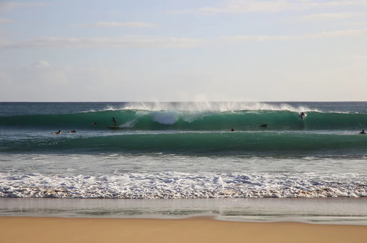 El año 2017 Surfrider Foundation y la Alianza de Acción Progresista de Hawai presentaron una demanda contra la Junta de Recursos Naturales y Terrestres de Hawái, y Syngenta Hawai'i LLC. Se les acusaba de no realizar una ambiental de conformidad con las leyes medioambientales de Hawái, para un permiso de uso del suelo que afectaba a una parcela de tierra en Kekaha, Waimea (Kona), Kauai. Las demandantes señalaron que el proyecto tendría un impacto significativo en los recursos medioambientales sensibles, incluidas las vías fluviales y las aguas cercanas a la costa. La parcela en cuestión es adyacente a la línea de costa que sustenta la vida marina, que además forma parte de la zona de surf designada por el Estado y conocida como Targets. El juez dictaminó que el uso que Syngenta hace de las tierras de conservación del Estado está sujeto a las leyes de revisión medioambientales de Hawái. Por lo tanto, hasta que sea revisado por un tribunal superior, cualquier nuevo arrendamiento o ampliación de las operaciones en tierras estatales, en el distrito de conservación o dentro de la línea de costa, debe pasar por una revisión ambiental. Foto: Clement Faydi.