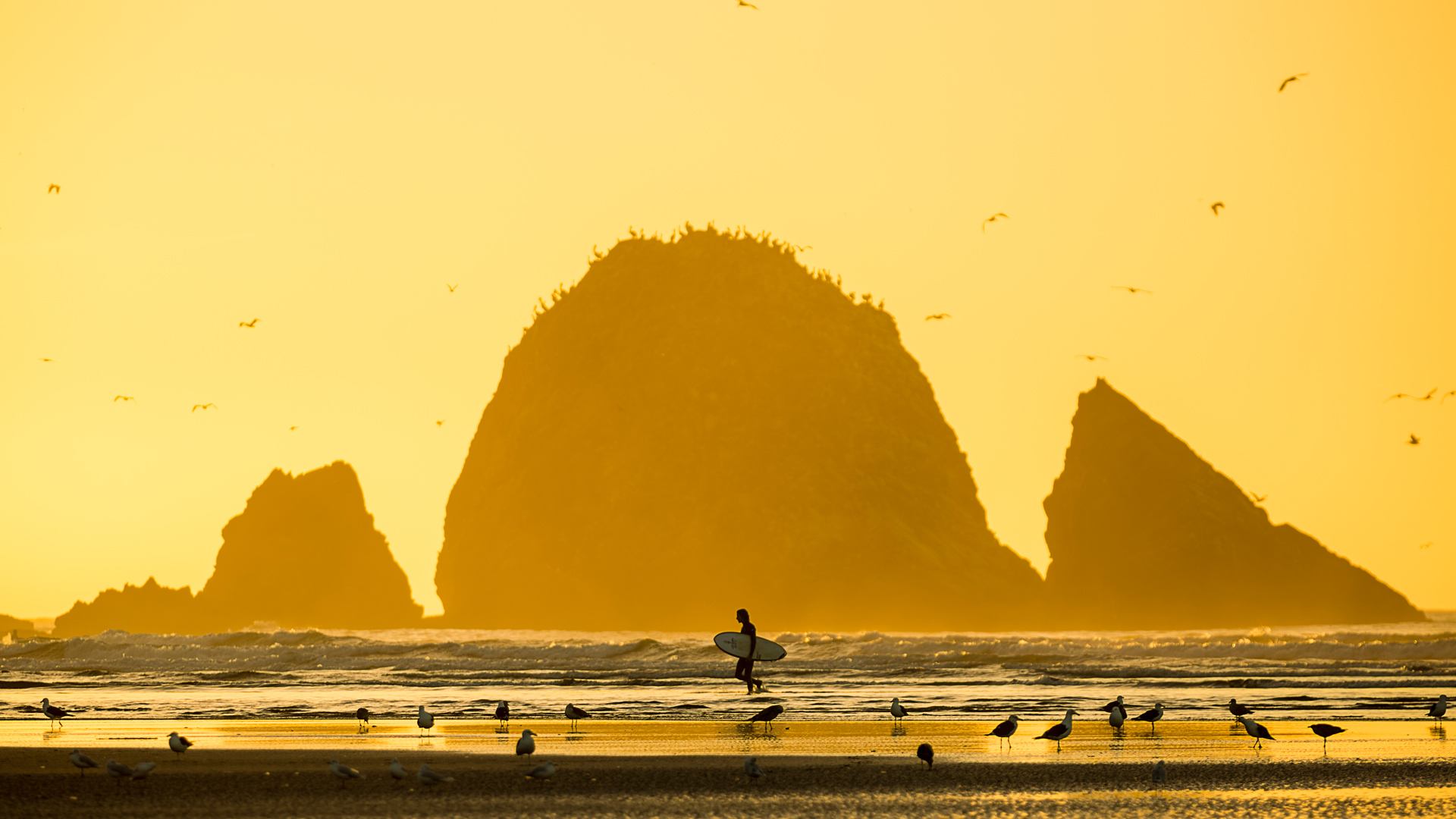 En Mehuín, al sur de Chile, se encuentra La Barra, una famosa ola cuya historia, sin embargo, no ha estado exenta de amenazas. Desde 1996, la poderosa empresa Celulosa Arauco viene negociando la instalación de un ducto que le permita verter los desechos contaminantes de su papelera en la playa de Mehuín, lo que representa una amenaza para los pescadores artesanales, las comunidades mapuches locales y los surfistas. Hasta la fecha, la empresa ha estado vertiendo sus desechos en el río Las Cruces, cercano a la rompiente. Con ello ha causado, entre otros daños, la muerte de miles de cisnes de cuello negro. Los vecinos de la localidad esperan promocionar un turismo sostenible y responsable, que visibilice el conflicto y logre alcanzar la protección de la zona. Foto: Juan Carlos Elgueta.